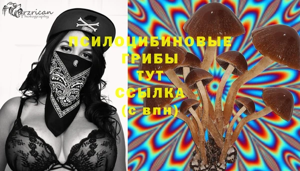 кокс Волосово